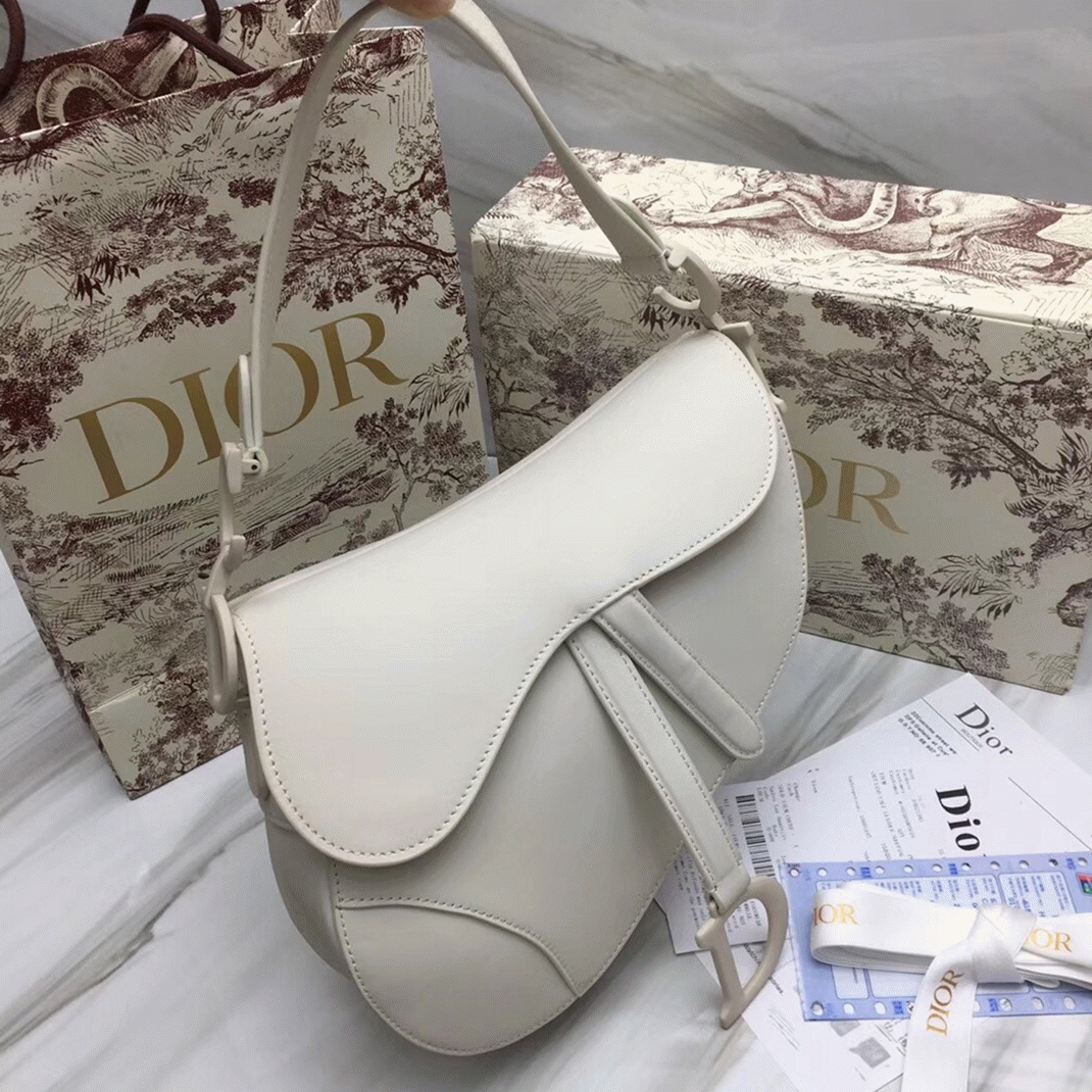 D10r Saddle Bag Fake in White Ultramatte Calfskin