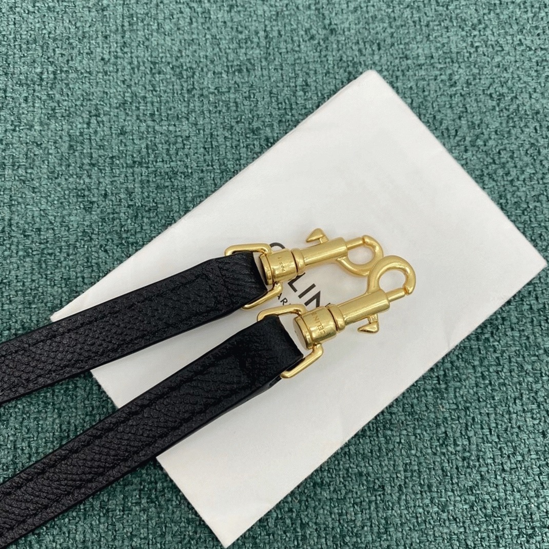 Ce1i*e Belt Nano Bag Replica in Black