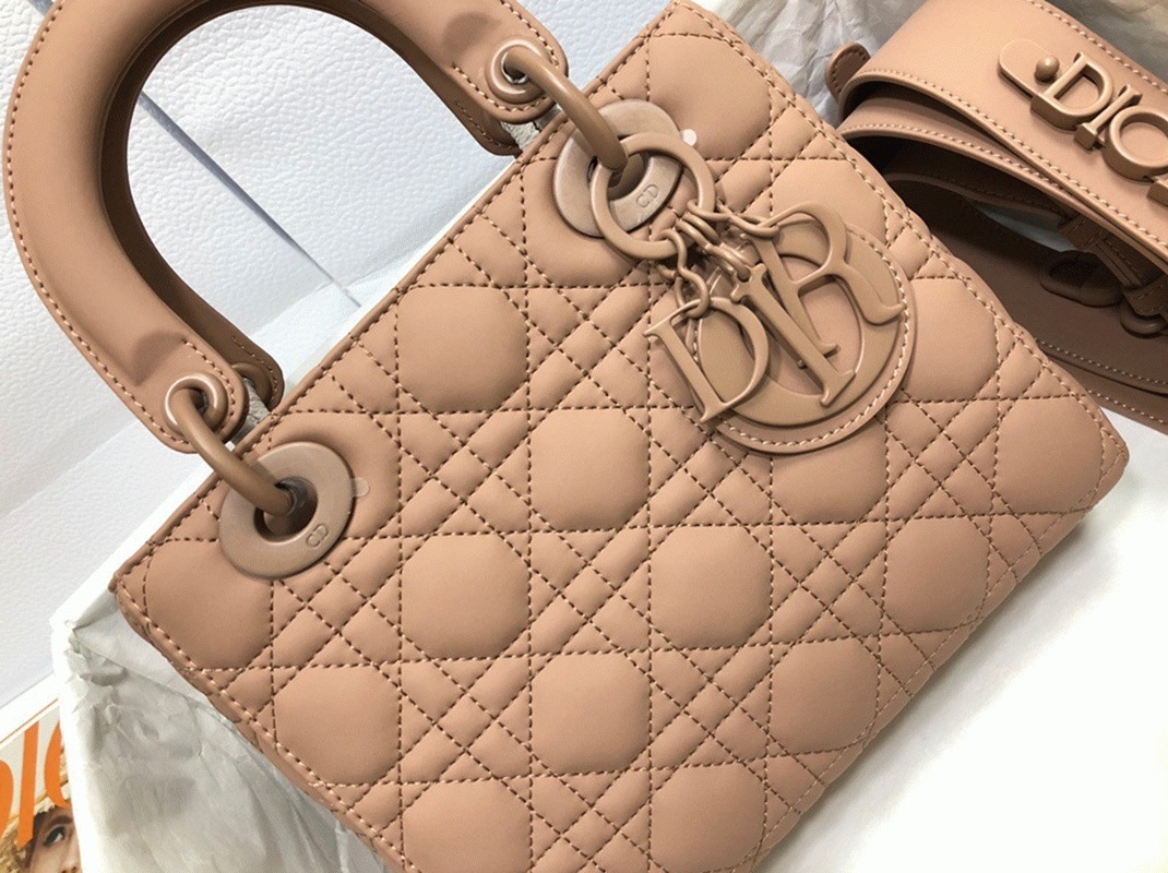 D10r Small Lady D10r My ABCD10r Bag Replica in Blush