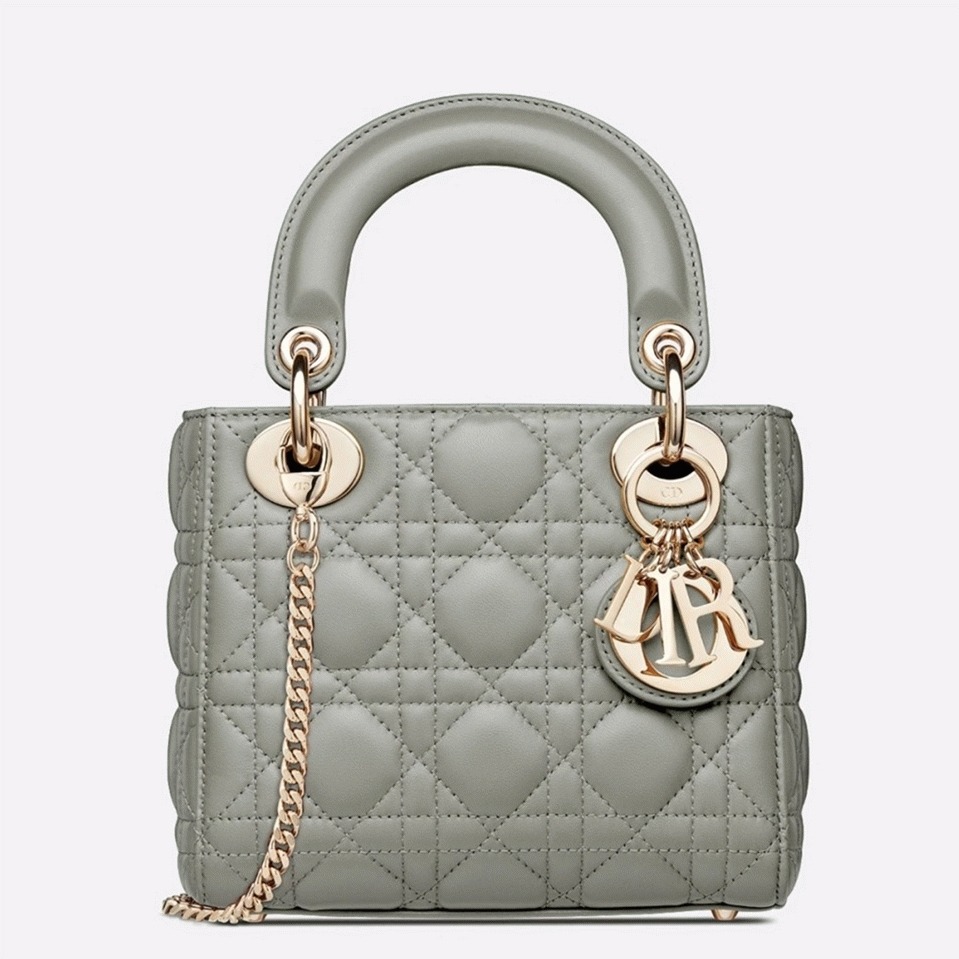 D10r Lady D10r Mini Bag Replica in Grey