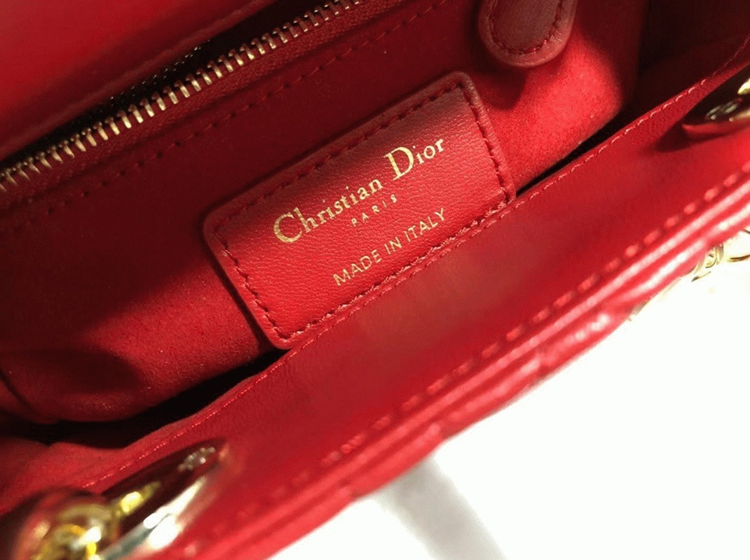 D10r Lady D10r Mini Bag Knockoff in Red