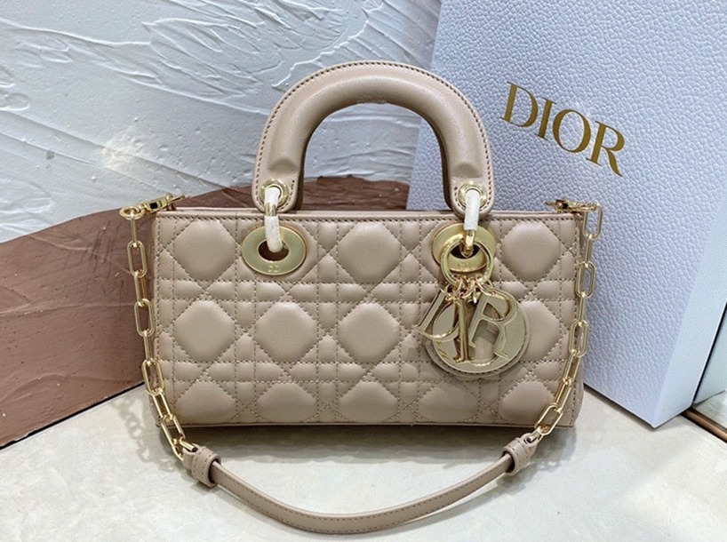 D10r Lady D-Joy Small Bag Replica in Hazelnut