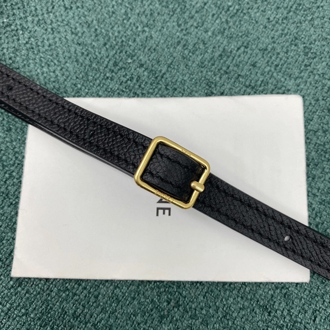 Ce1i*e Belt Nano Bag Replica in Black