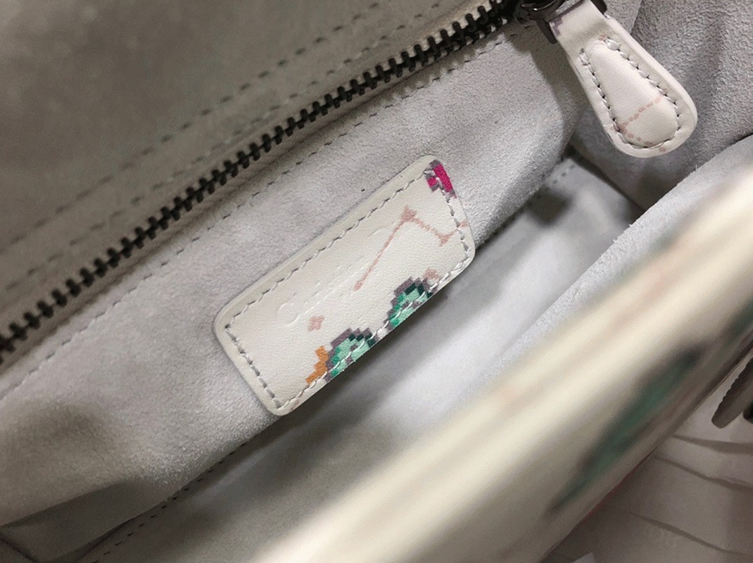 D10r Lady D10r Mini Bag Fake in White Calfskin with Pixel Zodiac Print