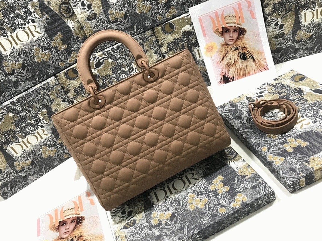 D10r Lady D10r Large Bag Knockoff in Blush