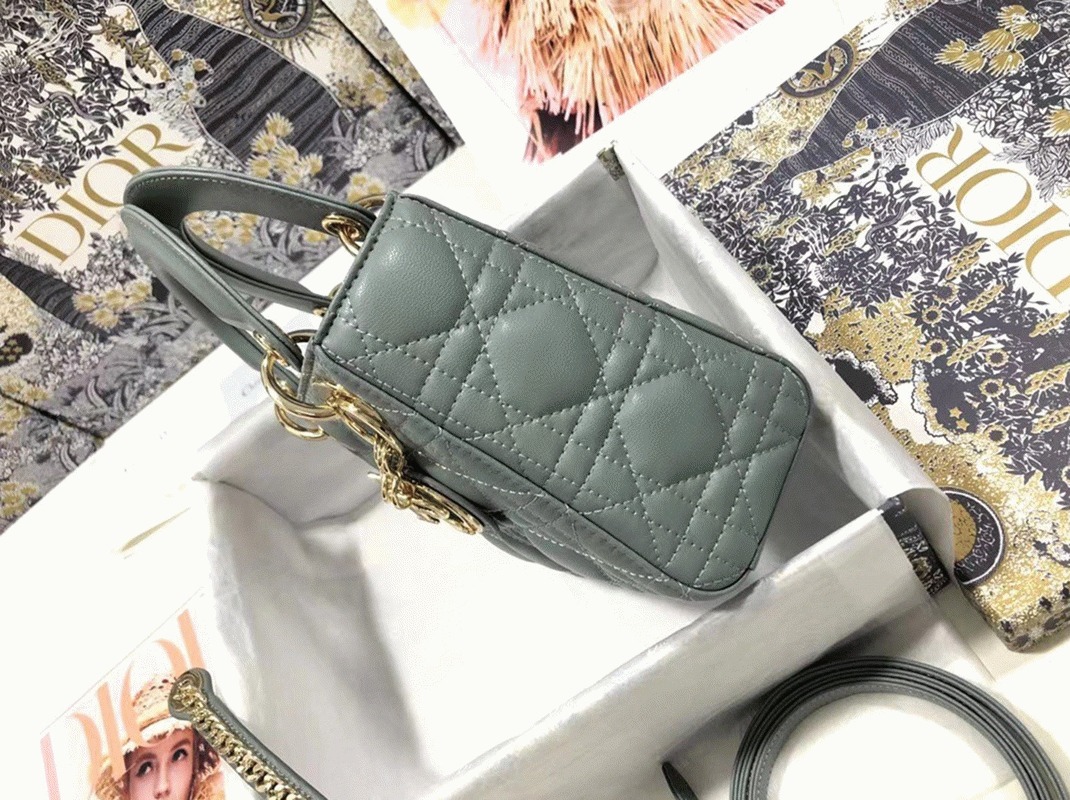 D10r Lady D10r Mini Bag Replica in Grey