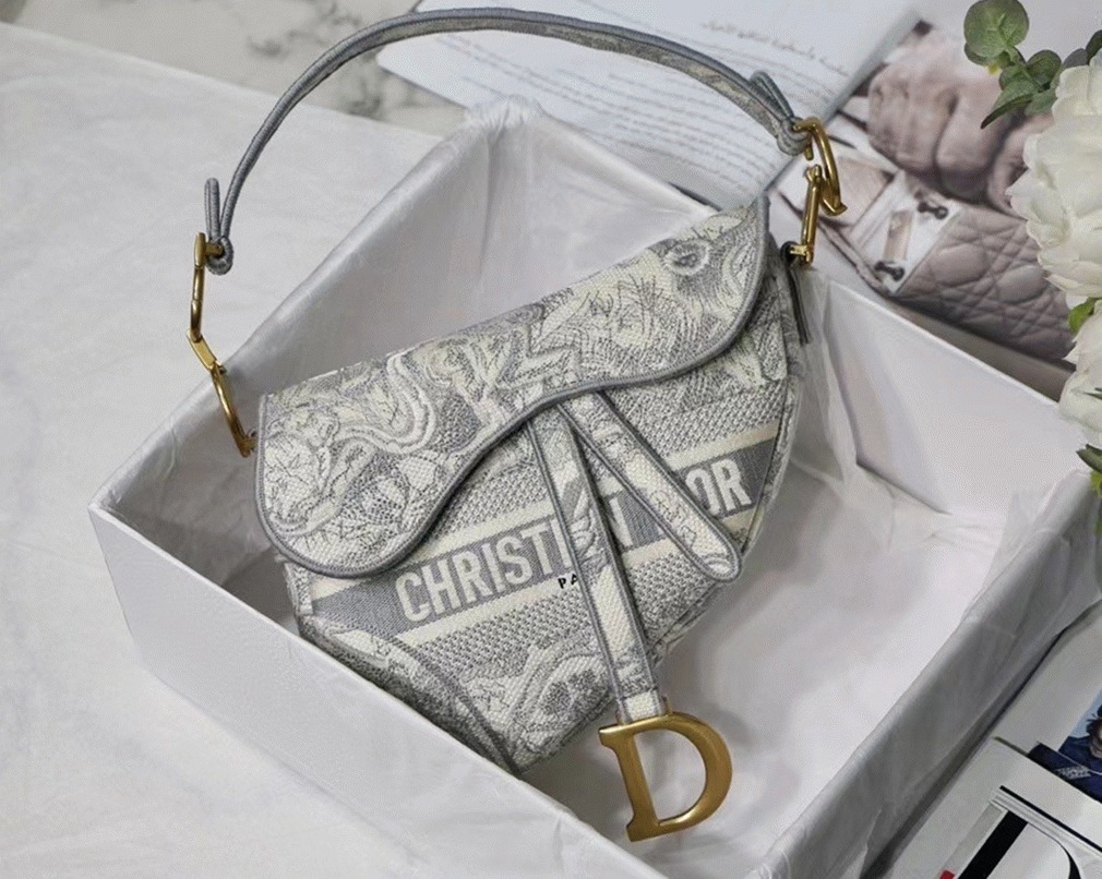 D10r Saddle Bag Fake in Grey Toile de Jouy Embroidery