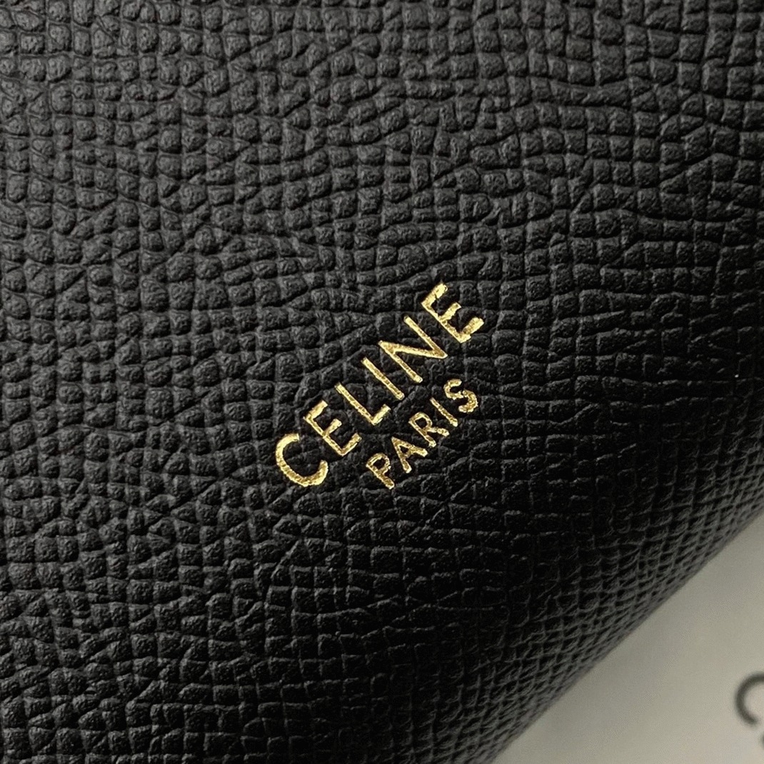 Ce1i*e Belt Nano Bag Replica in Black