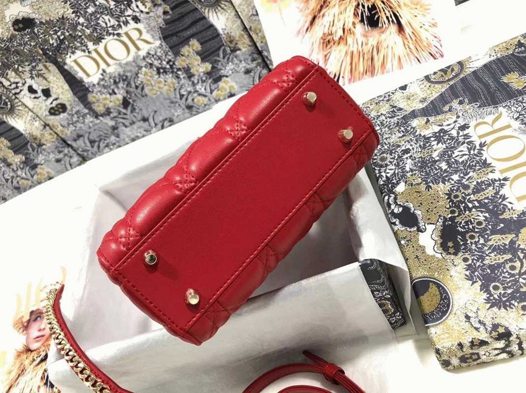 D10r Lady D10r Mini Bag Knockoff in Red