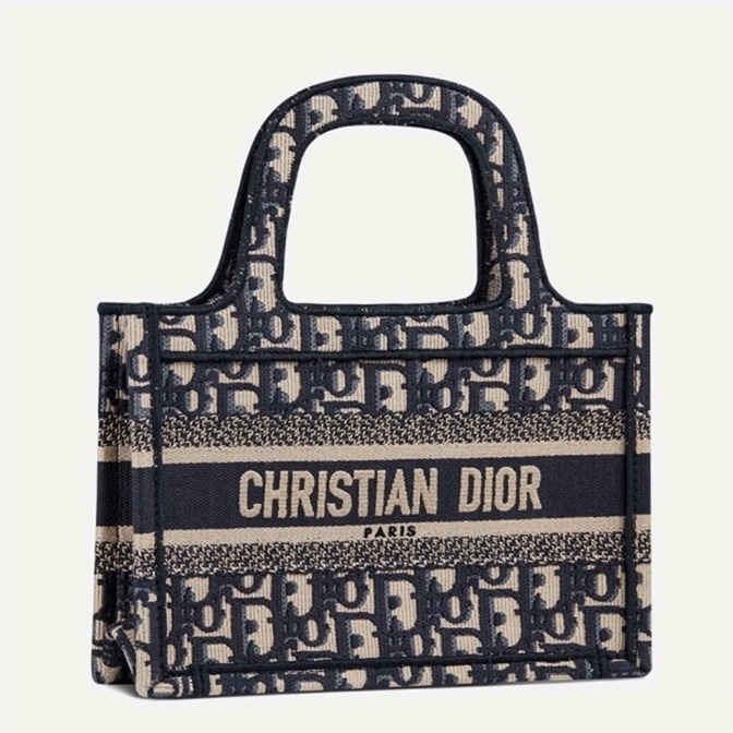 D10r Mini Book Tote Bag Fake in Blue D10r Oblique Embroidery