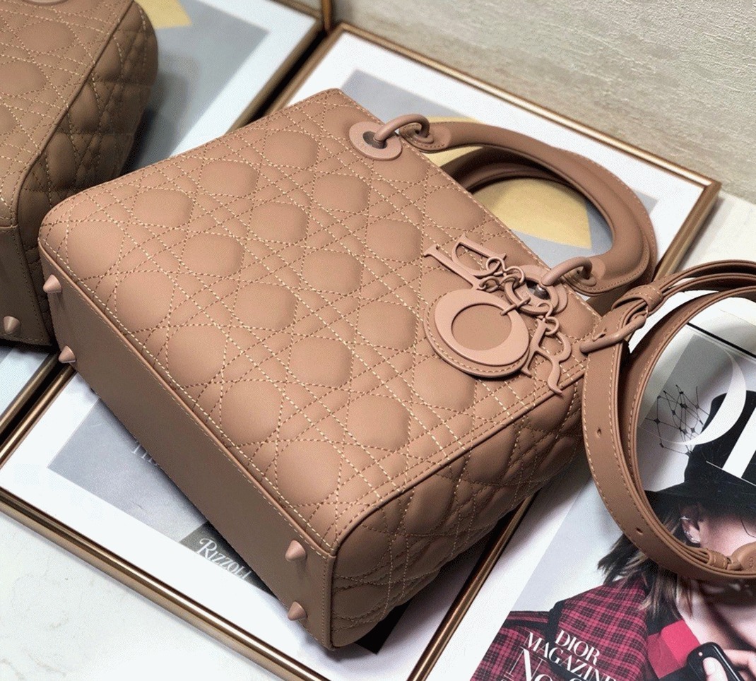 D10r Lady D10r Medium Bag Fake in Blush