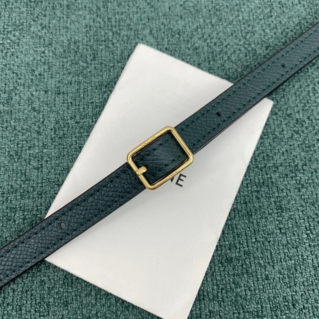 Ce1i*e Belt Nano Bag Fake in Amazone