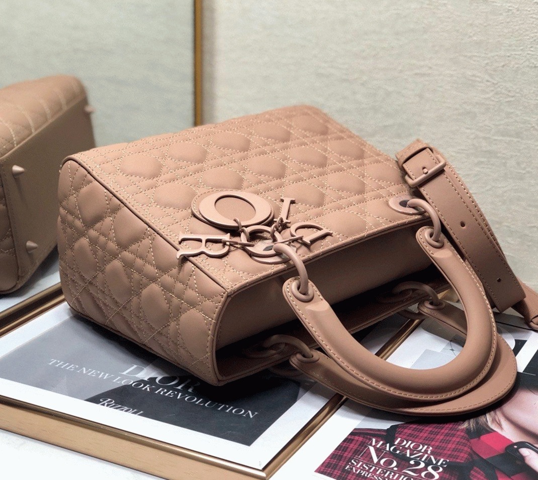 D10r Lady D10r Medium Bag Fake in Blush