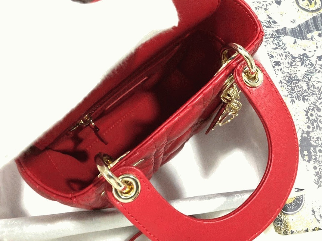 D10r Lady D10r Mini Bag Knockoff in Red