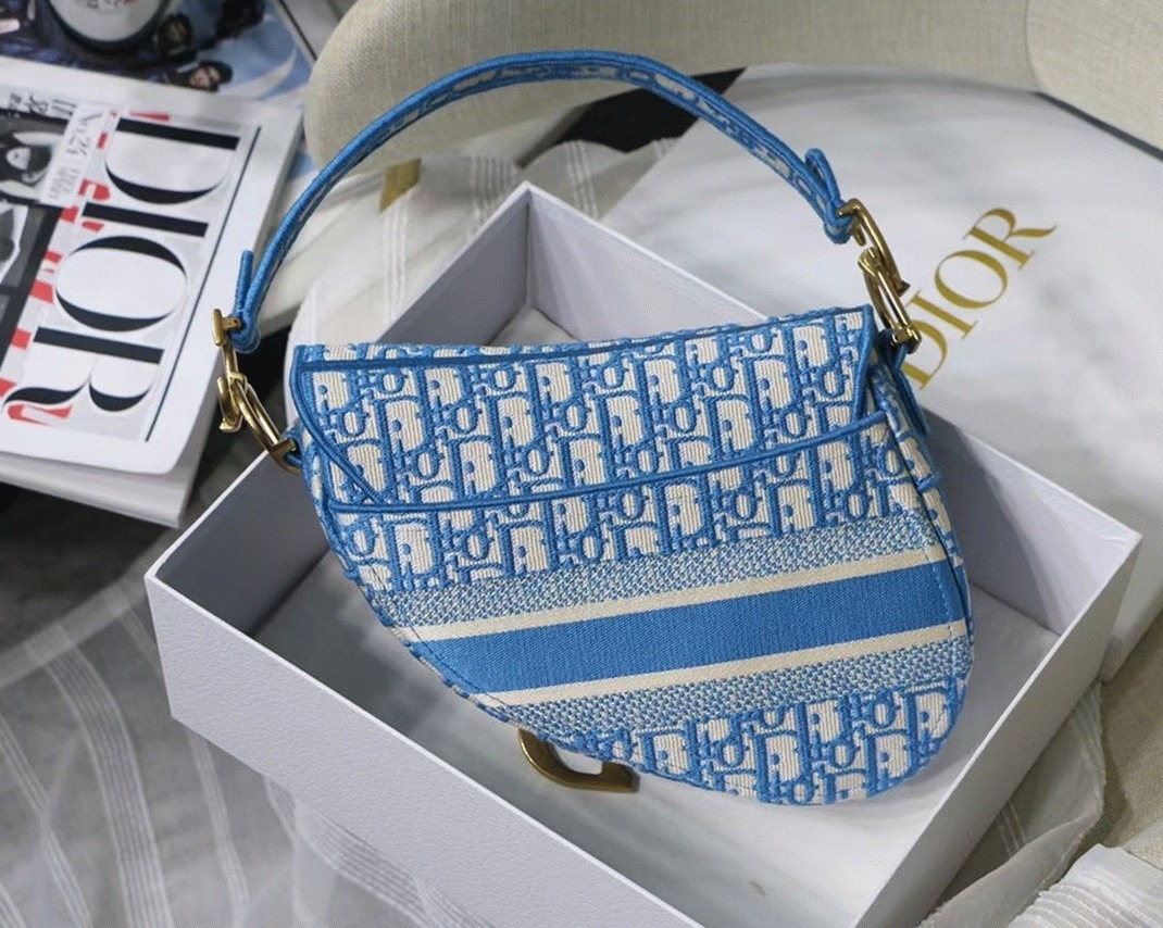 D10r Saddle Bag Fake in Cornflower Blue D10r Oblique Embroidery