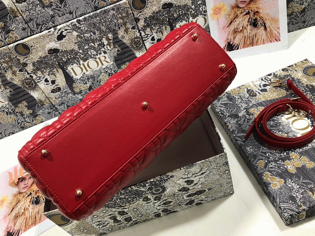 D10r Lady D10r Large Bag Replica in Red