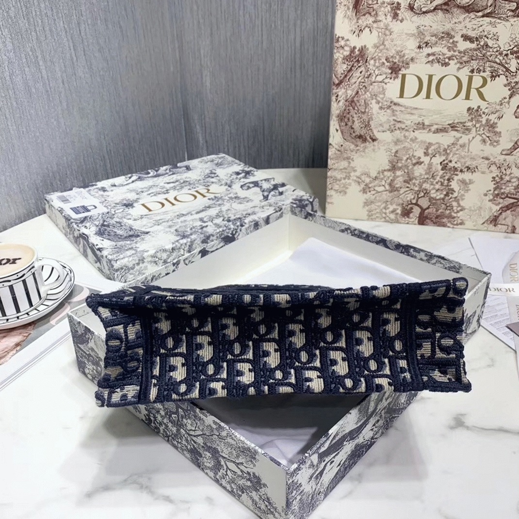 D10r Mini Book Tote Bag Fake in Blue D10r Oblique Embroidery