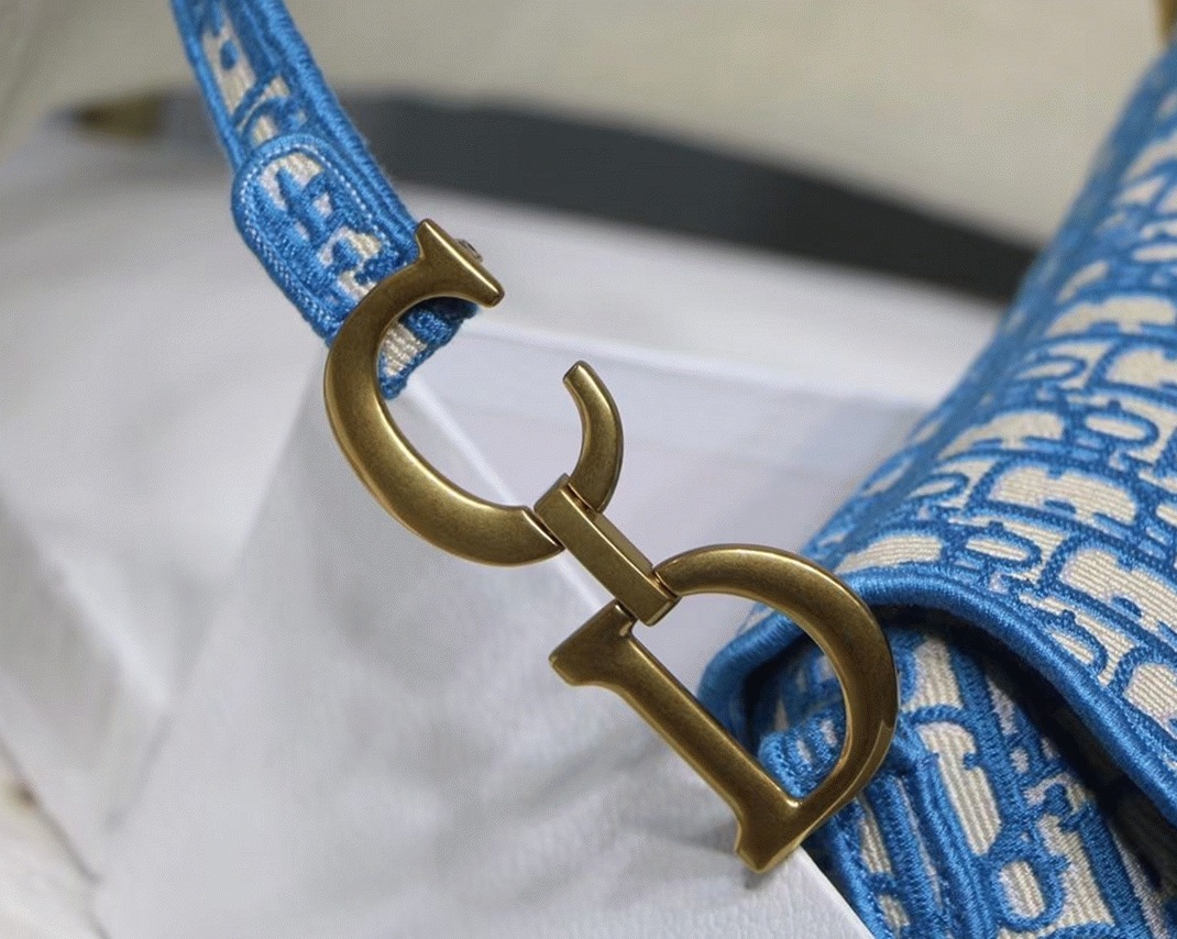 D10r Saddle Bag Fake in Cornflower Blue D10r Oblique Embroidery