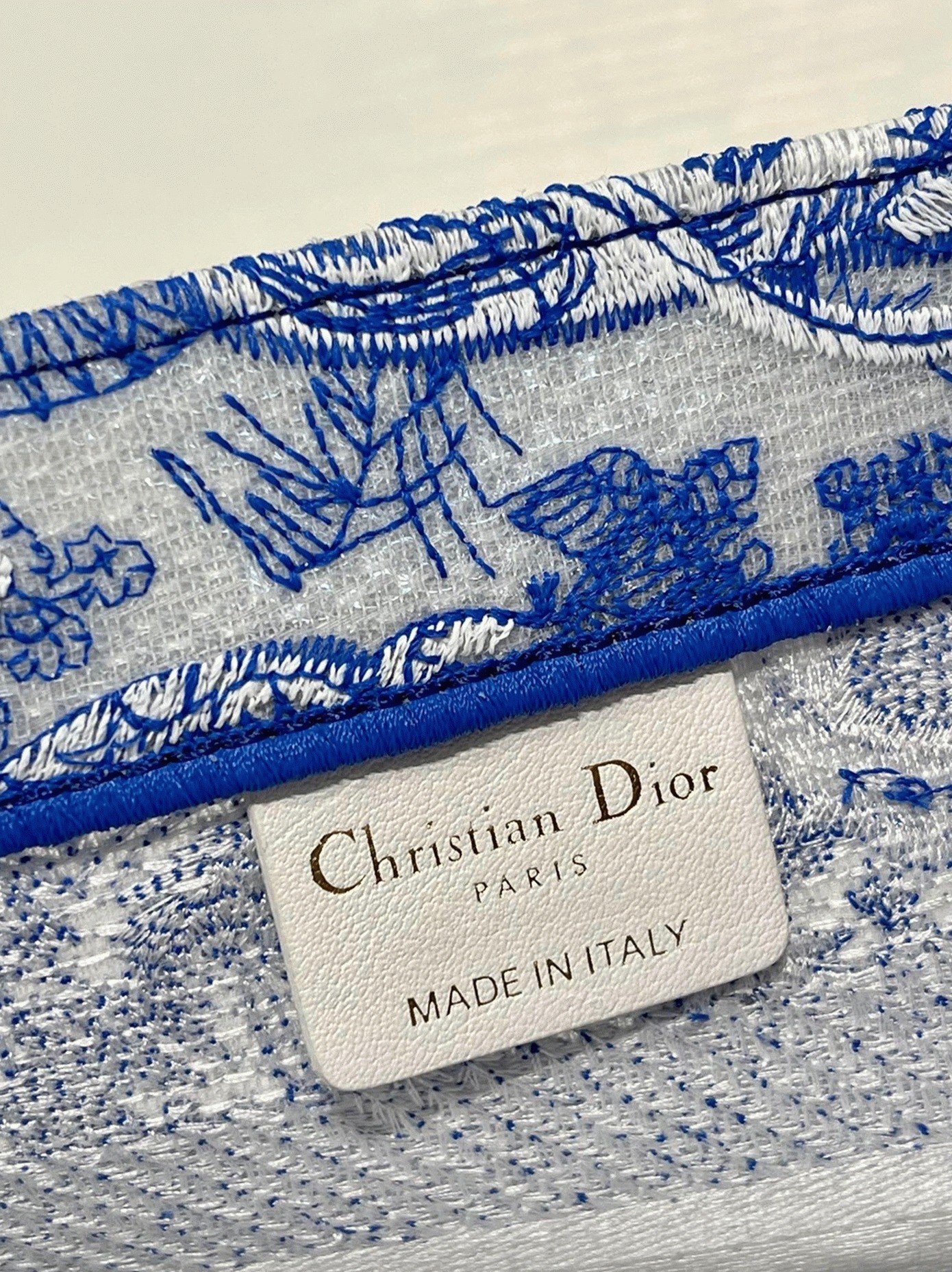 D10r Large Book Tote Bag Fake in Blue Transparent Toile de Jouy Canvas
