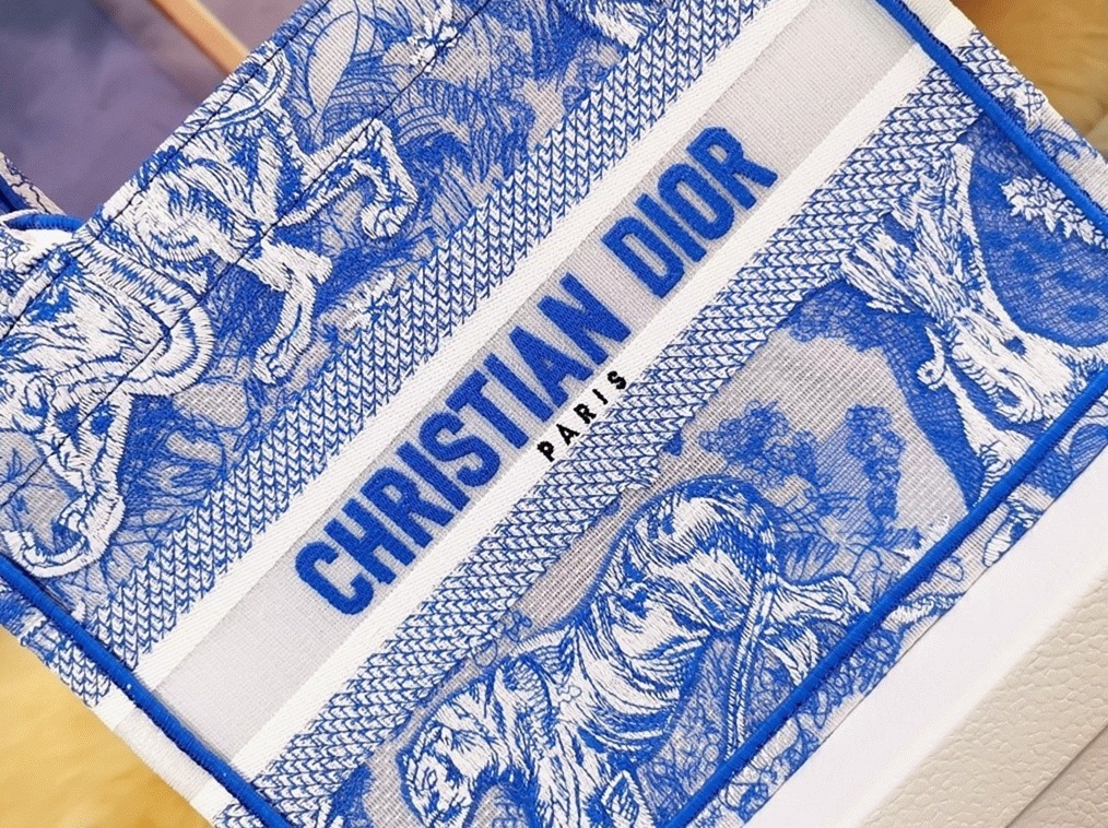 D10r Large Book Tote Bag Fake in Blue Transparent Toile de Jouy Canvas