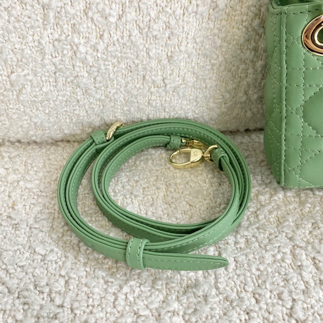 D10r Lady D10r Micro Bag Knockoff in Mint Cannage Lambskin