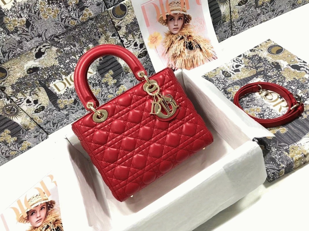 D10r Lady D10r Medium Bag Faux in Red