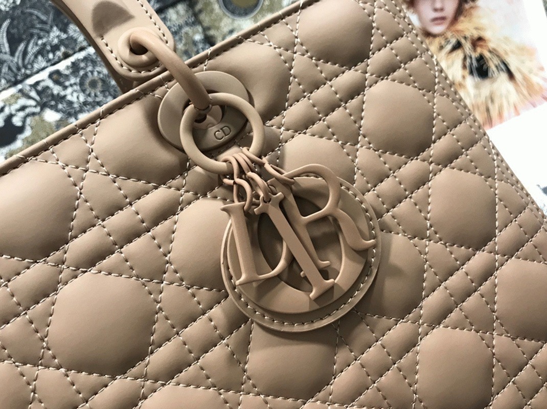 D10r Lady D10r Large Bag Knockoff in Blush