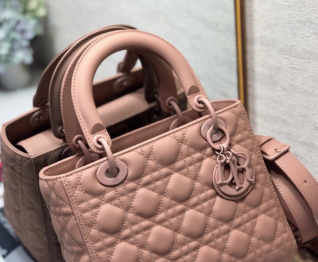 D10r Lady D10r Medium Bag Fake in Blush