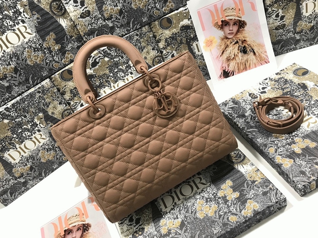 D10r Lady D10r Large Bag Knockoff in Blush