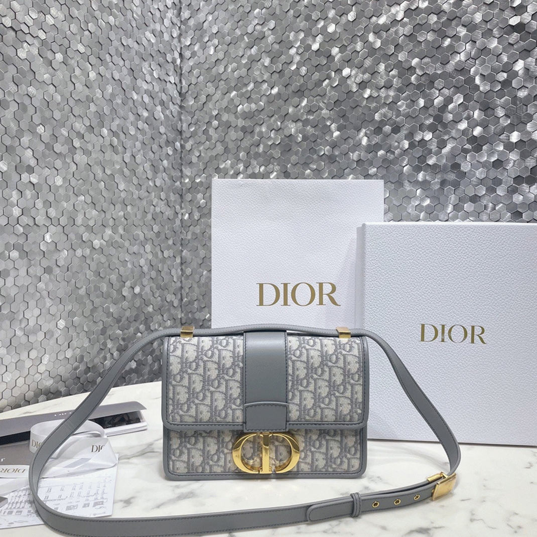 D10r 30 Montaigne Medium Bag Fake in Grey D10r Oblique Jacquard