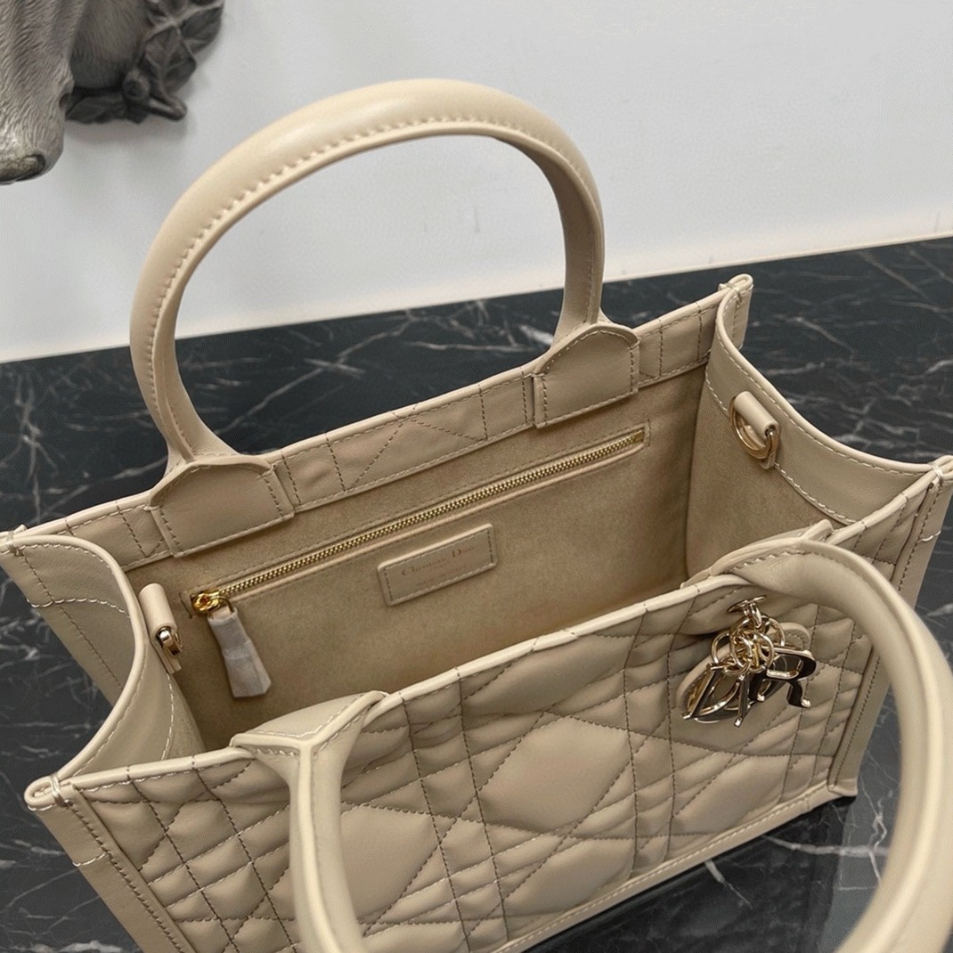 D10r Small Book Tote Bag Replica with Strap in Beige