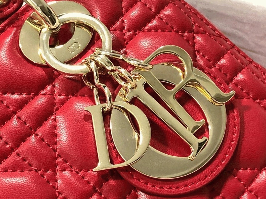 D10r Lady D10r Medium Bag Faux in Red