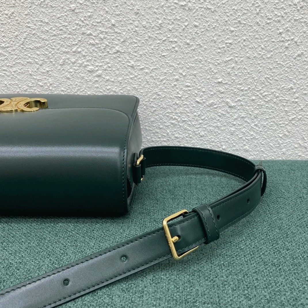 Amazone Color Ce1i*e Triomphe Large Knockoff Bag