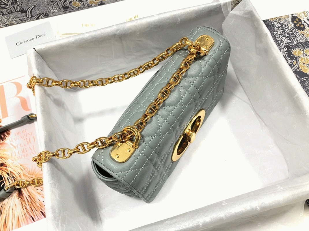 D10r Caro Small Bag Replica in Grey