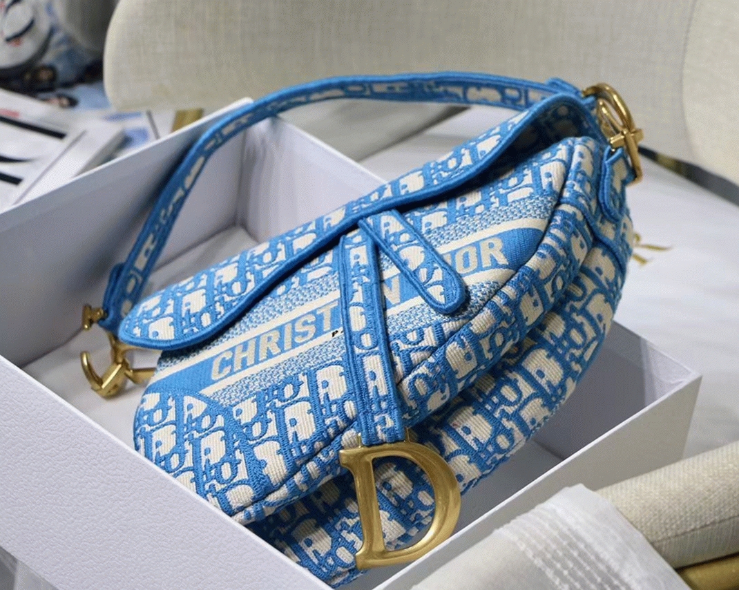 D10r Saddle Bag Fake in Cornflower Blue D10r Oblique Embroidery