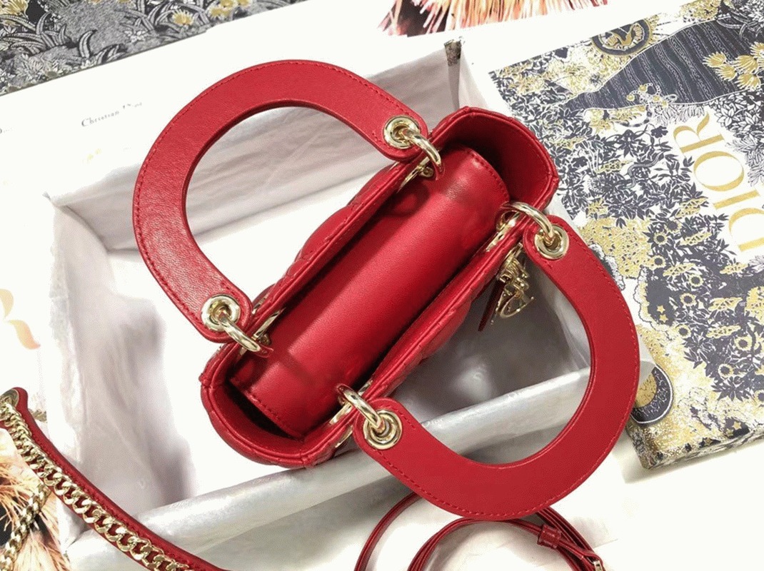 D10r Lady D10r Mini Bag Knockoff in Red