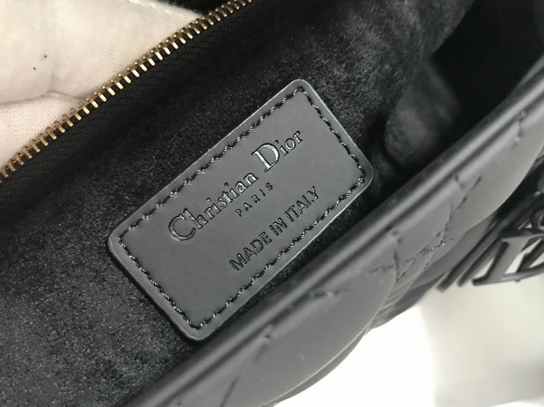 D10r Lady D10r Large Bag Knockoff in Black