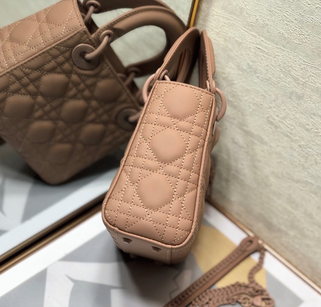 D10r Lady D10r Mini Chain Bag Replica in Blush