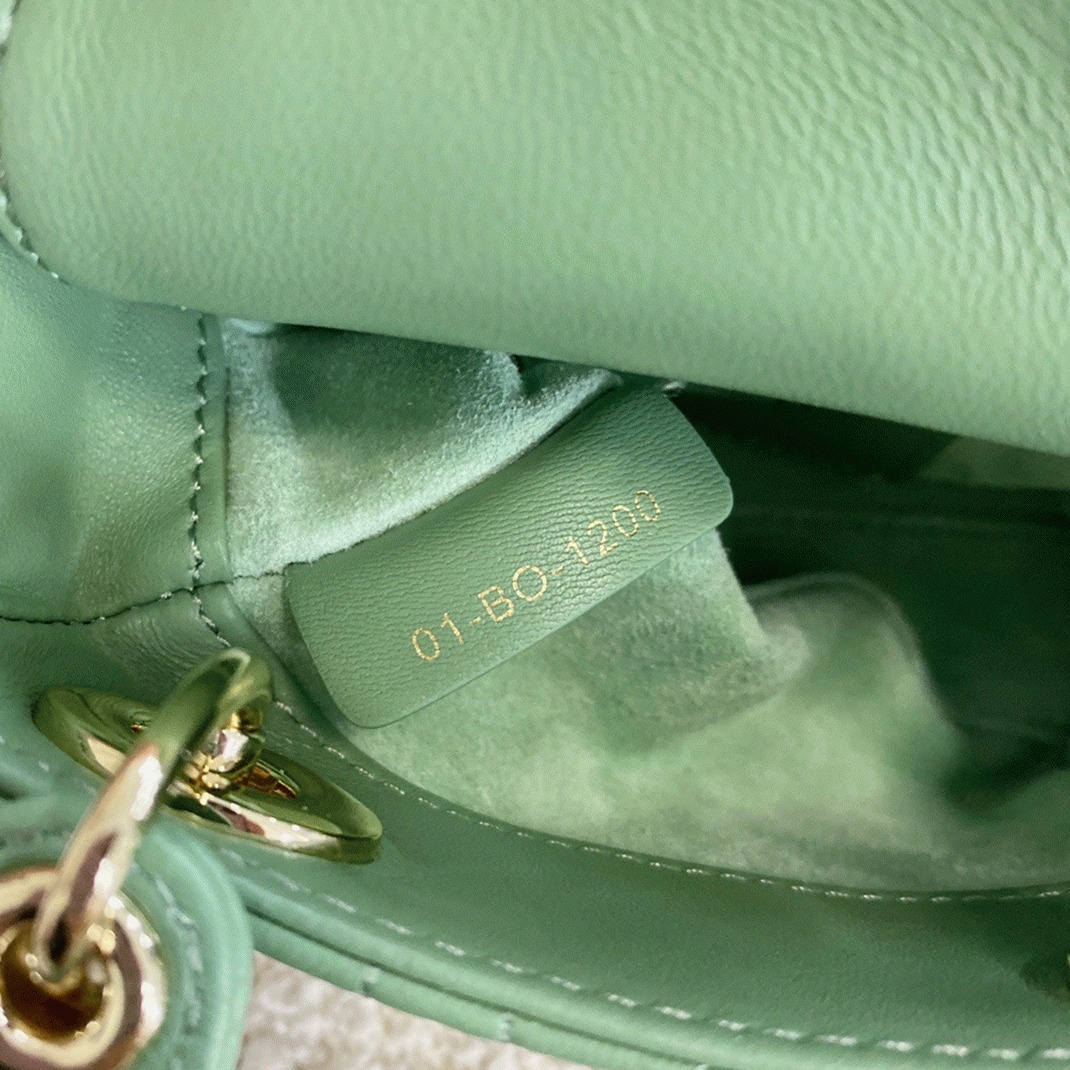 D10r Lady D10r Micro Bag Knockoff in Mint Cannage Lambskin