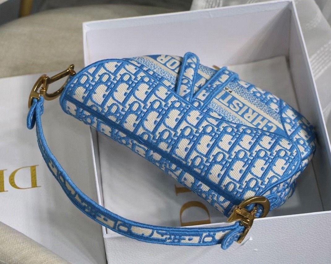 D10r Saddle Bag Fake in Cornflower Blue D10r Oblique Embroidery