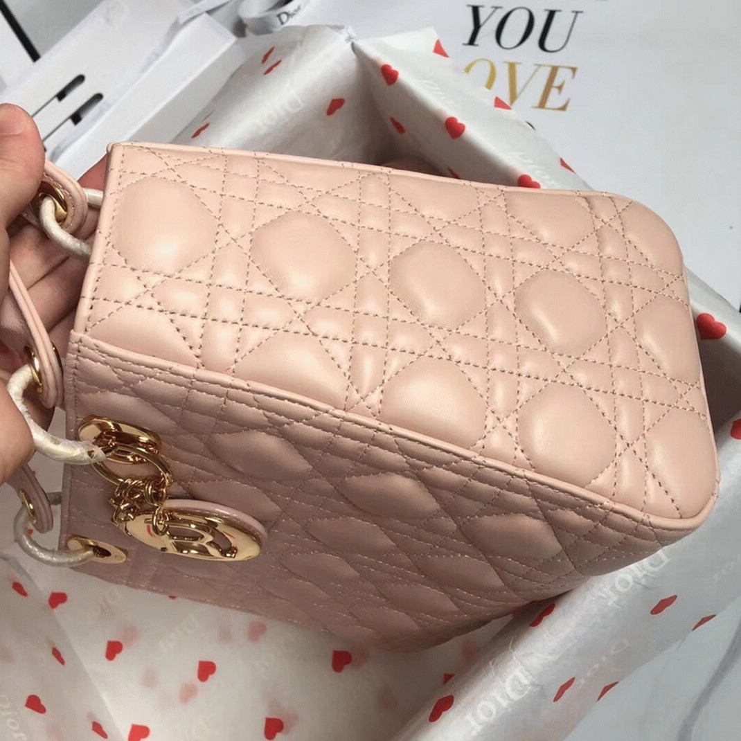 D10r Lady D10r Medium Bag Replica in Powder