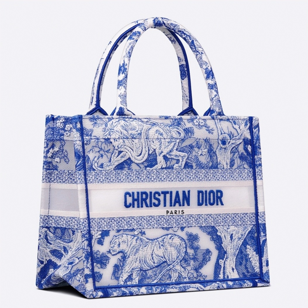 D10r Large Book Tote Bag Fake in Blue Transparent Toile de Jouy Canvas
