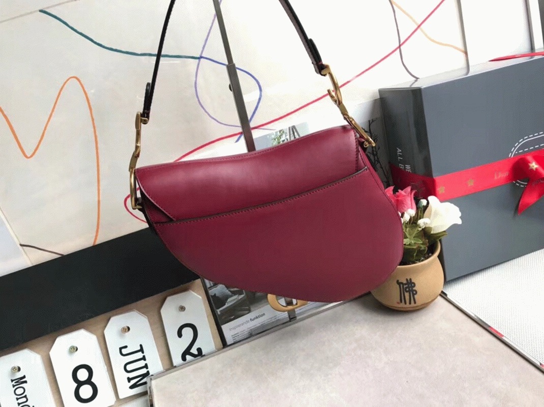 D10r Saddle Bag Replica in Red Smooth Calfskin