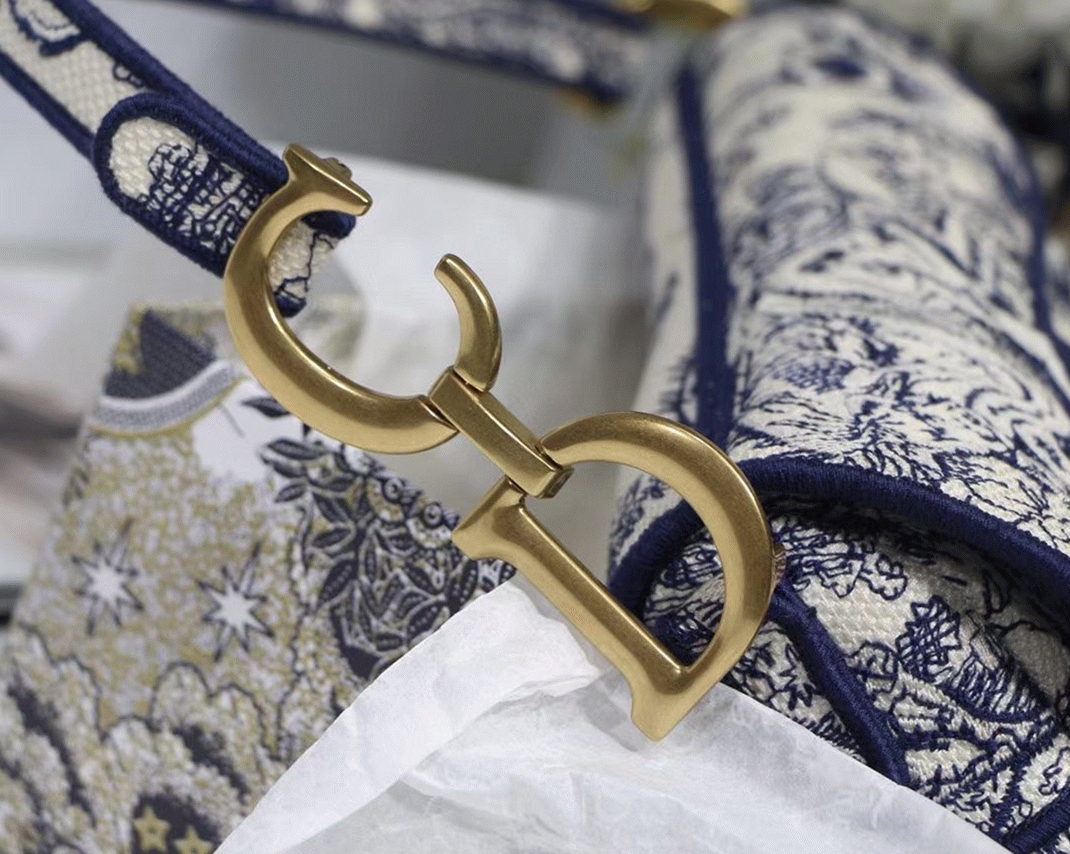 D10r Saddle Bag Replica in Blue Toile de Jouy Embroidery