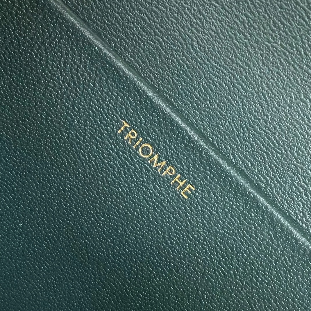 Top Quality Fake Ce1i*e Triomphe Medium Bag In Amazone