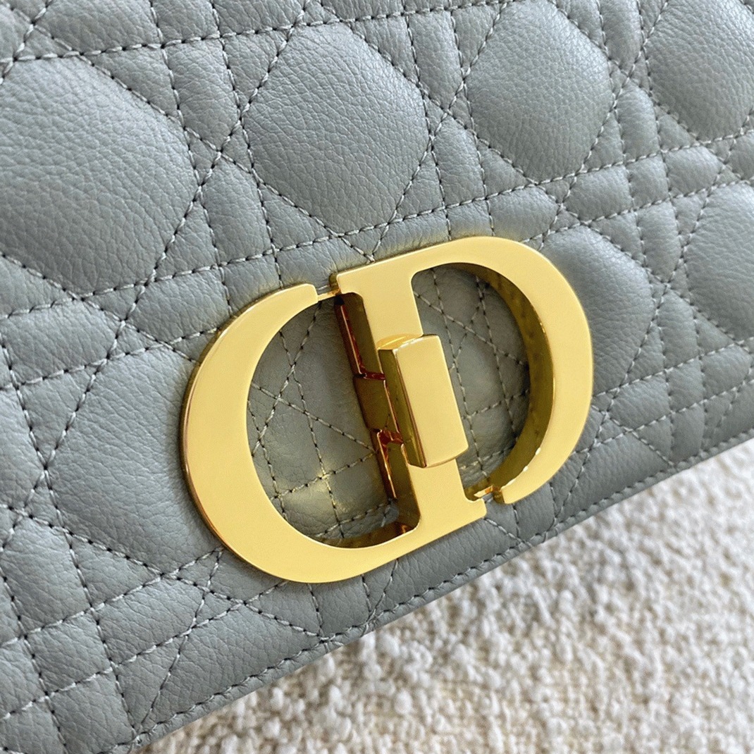 D10r Caro Medium Bag Knockoff in Grey